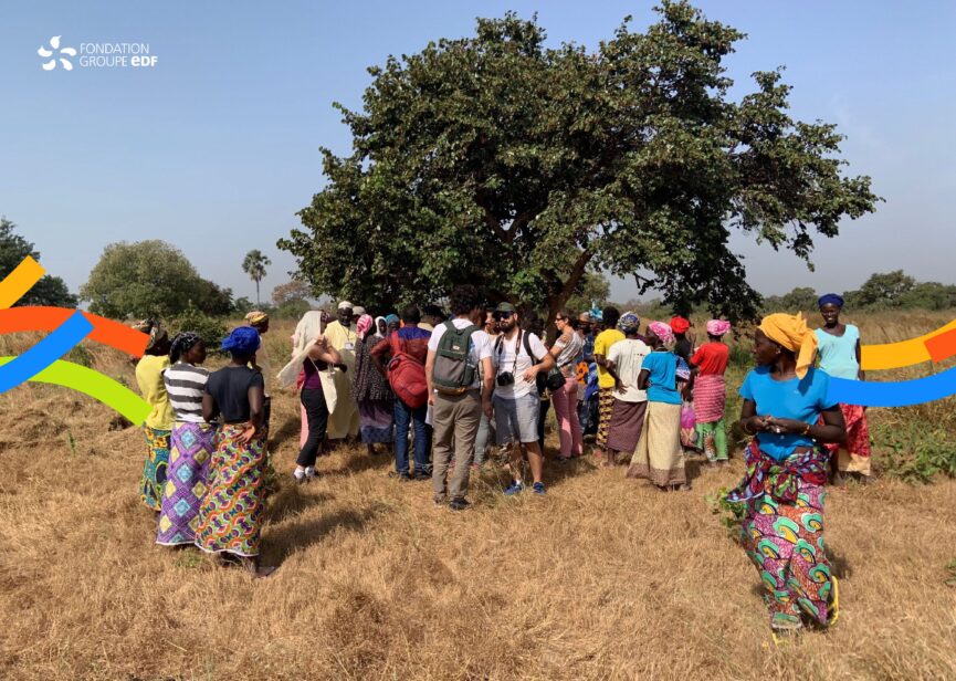 Instruction d’un projet d’agro écologie au Sénégal