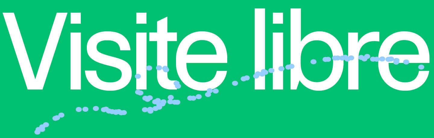 Visite libre et gratuite de l'exposition dans(e) la lumière à Paris à l'Espace Fondation EDF.