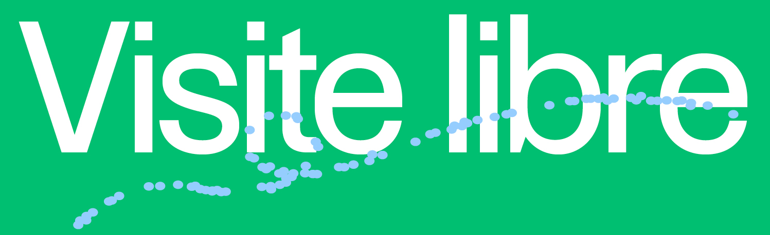 Visite libre et gratuite de l'exposition dans(e) la lumière à Paris à l'Espace Fondation EDF.